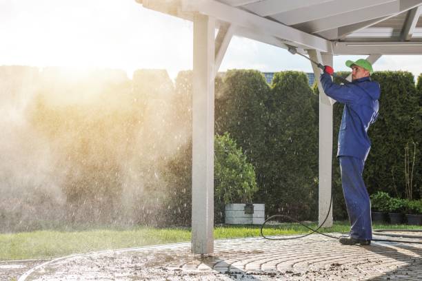 Animal Enclosure Cleaning in Chesaning, MI