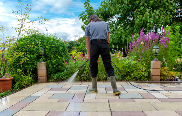 Reliable Chesaning, MI Pressure Washing Services Solutions